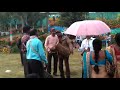 Mohonar Dike Vlogs