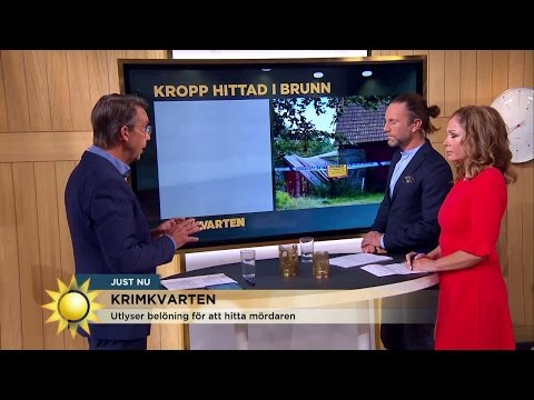 Krimkvarten med Hasse Aro - Nyhetsmorgon (TV4)
