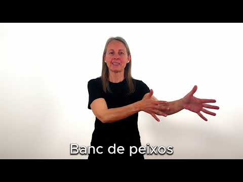 Banc de peixos - LSC