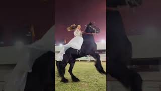 Download lagu Alô galera de cowboy 🤠🐎  #brasil #brawlstars #pecuaria #2022 #reels #casablanca #car #gaming #rodeio mp3