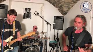 Little sister Cover by Blue Dogs Trio