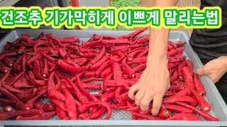 건고추가 이보다 예쁠수는 없다~~