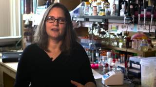 Clicker Competitions