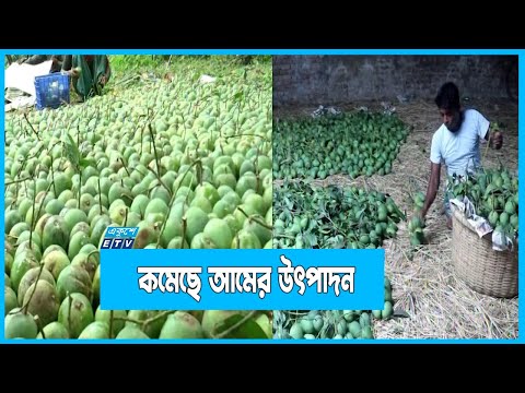 দেশে আমের উৎপাদন হচ্ছে ২৪ লাখ ৬০ হাজার মেট্রিক টন