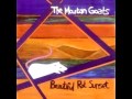 The Mountain Goats - Song for Cleomenes