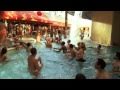 CSI Preview Pool Shark