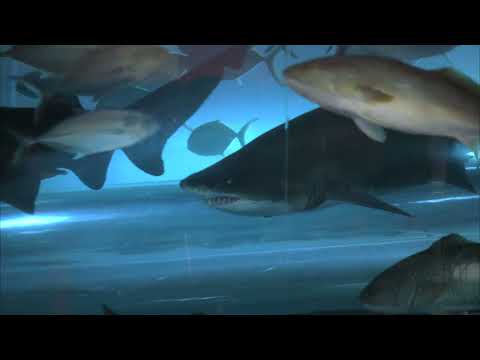 CSI episode promo frame with pool scene that tees up a stylized soundtrack drop