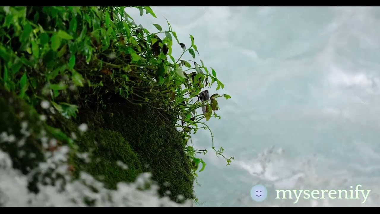 Understanding the 300 WSM Headspace Gauge