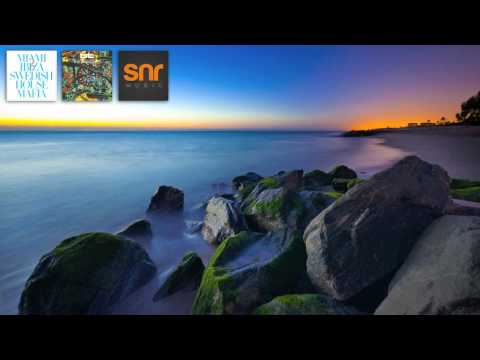 Swedish House Mafia vs. BT - The Miami 2 Ibiza Emergency (SNR Mashup)
