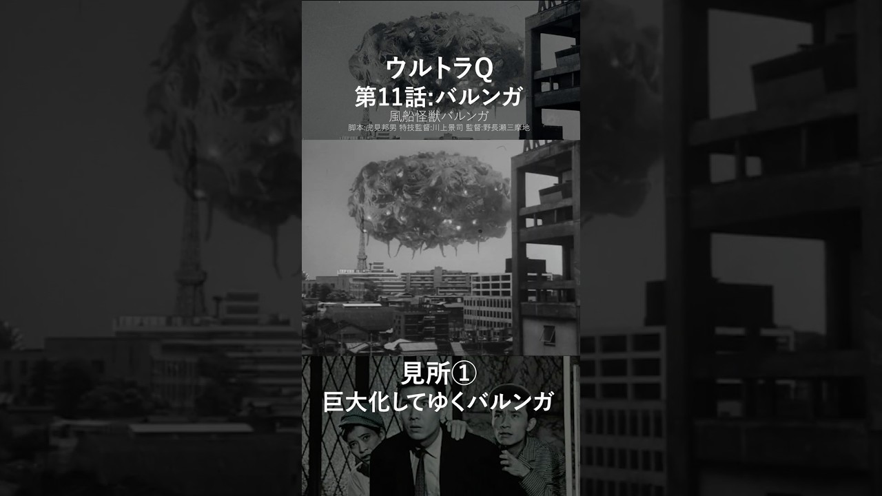 ウルトラQ第11話【30秒ダイジェスト】 #ウルトラq #怪獣 #怪獣図鑑 #特撮 #ウルトラマン #ウルトラq30秒ダイジェスト #ultraq #ultraman #kaiju