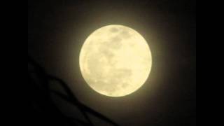 preview picture of video 'Pictures of the Super Moon (May 5th, 2012) as seen from Tampa, FL'