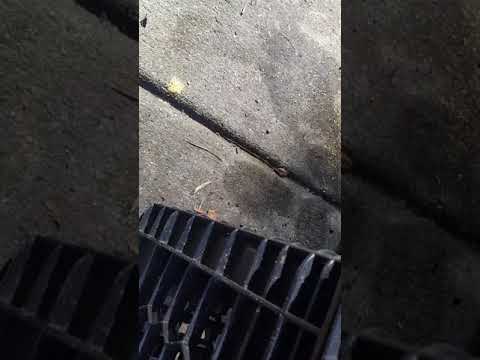 Picky Ants in West Long Branch, NJ Commercial Facility