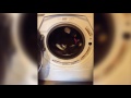 Cat Thinks Washing Machine Is A Treadmill