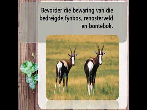 TOERISME GRAAD 10: 25 Junie 2020 - periode 8 (25108)