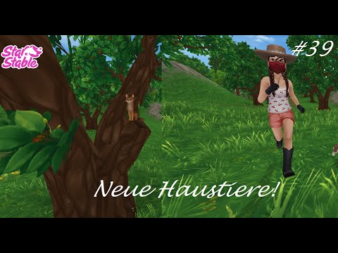 Neue Haustiere! Mittwochs Update Star Stable Online SSO #39