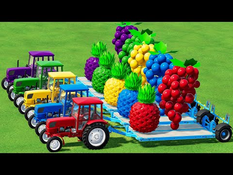 TRANSPORTING GRAPE & GIANT PINEAPPLE WITH COLORED URSUS TRACTORS - Farming Simulator 22