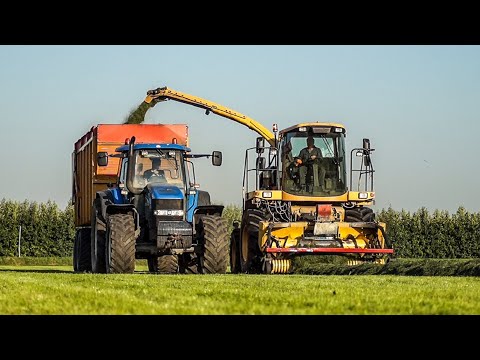 Gras hakselen met Case IH 1455 XL en 2× New Holland TM | MoundMovies