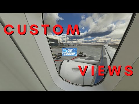 How To Set Custom Wing Views | MSFS2020