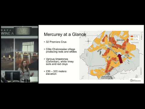 The value of Côte Chalonnaise - Burgundy Masterclass - Napa Valley Wine Academy