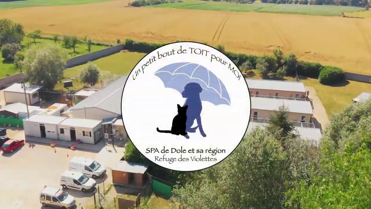 SPA Dole et sa région