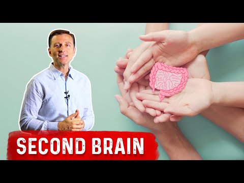 Your Second Brain Is in Your Gut