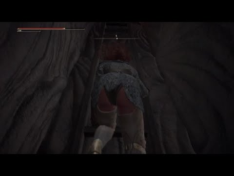 Elden Ring Best Ladder in the Game Divine Tower of Caelid Center