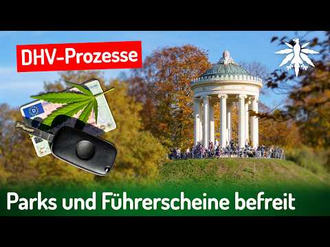Video Thumbnail: DHV-Prozesse: Parks und Führerscheine befreit | DHV News # 497