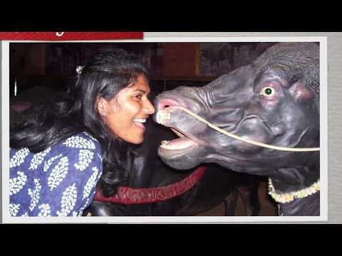 Harika weds Kotesh - Wishes