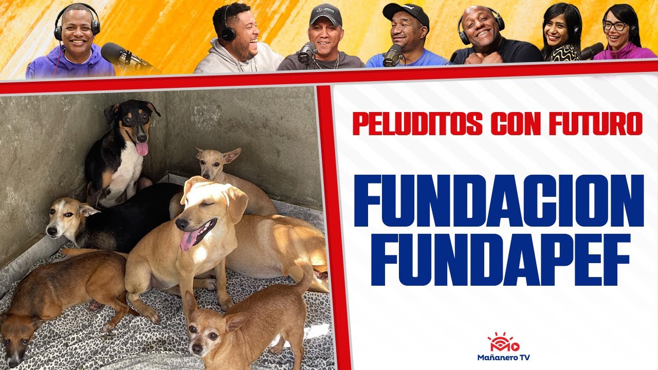 Cómo nació FUNDAPEF