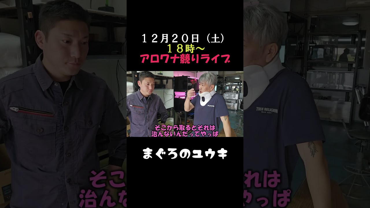 腫瘍があるから頭が重いよ #アロワナ