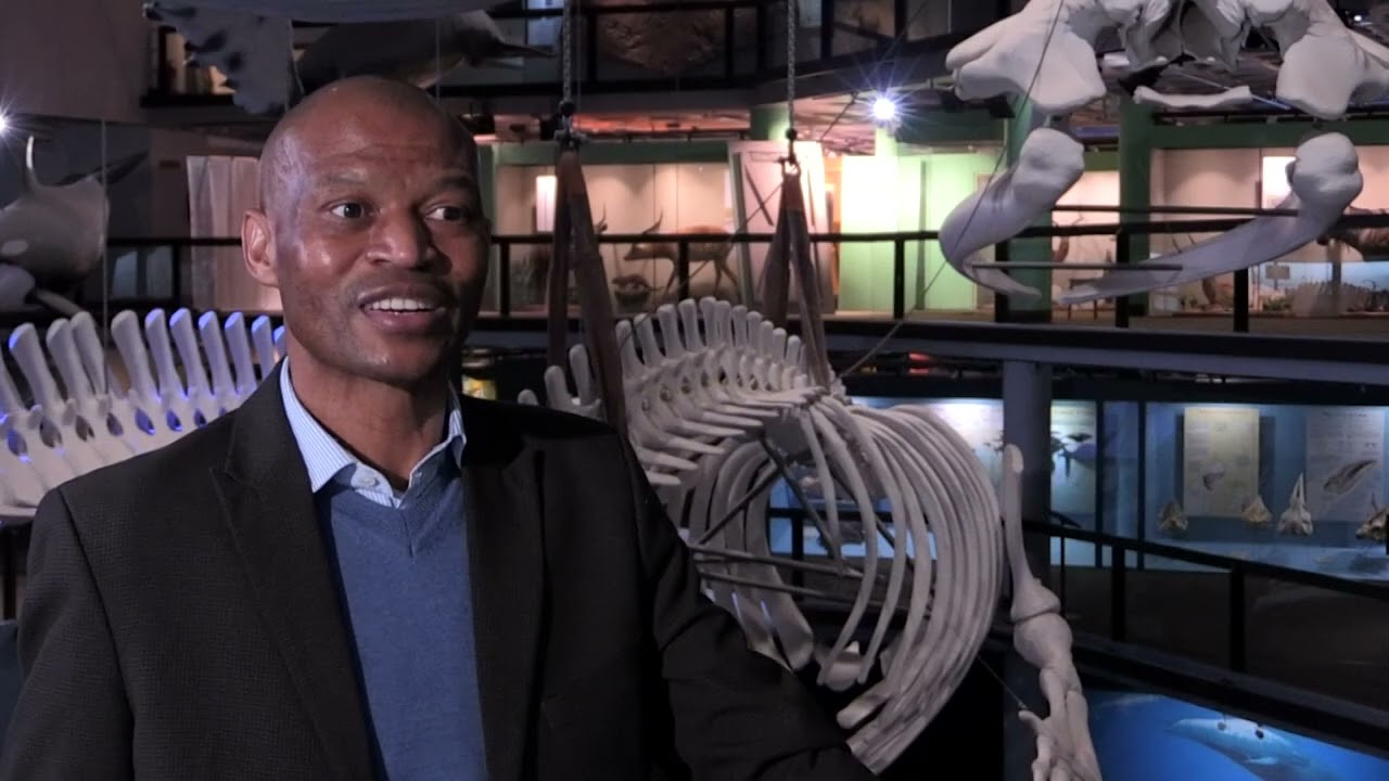 Iziko Museums Research Collaborations | The Human Evolution Research Collaboration