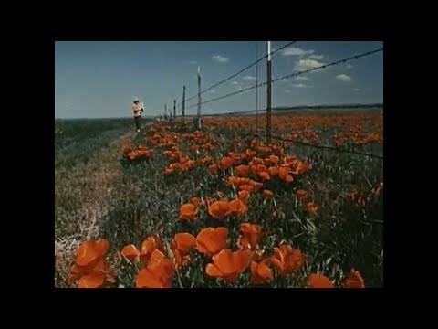 $$ - Ruben Slikk - jeauxin bootleg