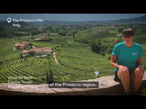 Together In Travel: Vania Di Paoli, Exodus Travels, Prosecco Hills, Italy