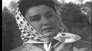 Şövkət Ələkbərova - Durnalar