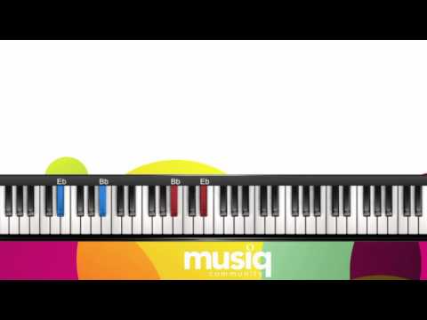 FREE 4 - 6 Chord Progression with Spice