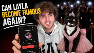 I Tried Making My Cat Famous...