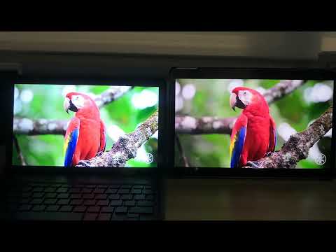 Lenovo Xiaoxin pad pro (2021) VS Samsung Galaxy Tab A7 (2020) comparison. Battle of budget tablet