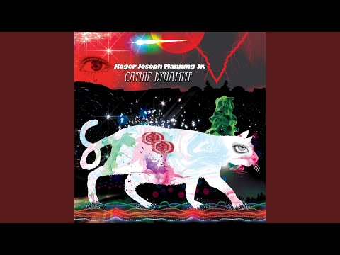 Drive Thru Girl (Live)