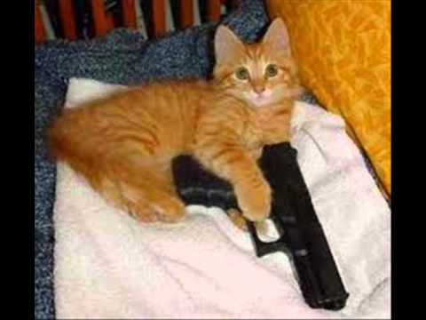 Ekem Jevric br-2 Bozo Draca -Tebe hocu tebe zelim-