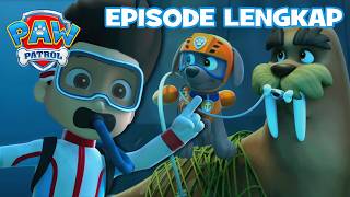 Download lagu PAW Patrol EPISODE LENGKAP | Pups Menyelamatkan Seekor Walrus! π¦ | Kartun untuk Anak mp3 Download lagu PAW Patrol EPISODE LENGKAP | Pups Menyelamatkan Seekor Walrus! π¦ | Kartun untuk Anak mp3