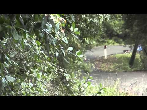 6° Rally Ronde di Pomarance 2013