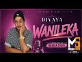 DIVAYA WANILEKA PRO BY MBASHA STUDIO 2026