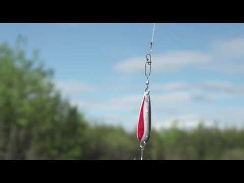 Locating Summer Northern Pike