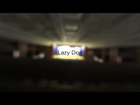 Lazy Dog@クリスマスライブ2023