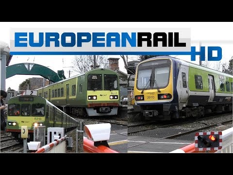 Afternoon Trains at Sydney Parade Level Crossing