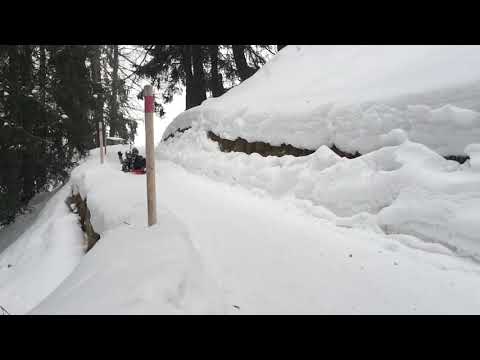 Davos Schatzalp Slowmotionfunktion mit Ton "saulustig" brünstig wie ein Zwölfender!!!🚸