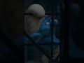 The Smurfs 2 2013 Intro On FXM July 4 2019