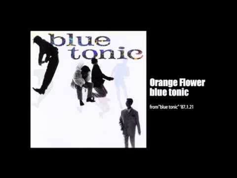 blue tonic - Orange flower