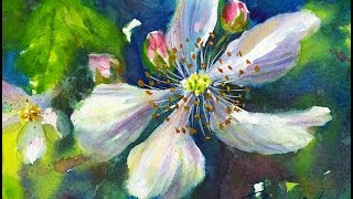 Flower Watercolor Painting Tutorial