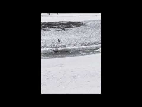 Hajime Chitose- Kataritsugu Koto slowed and reverb